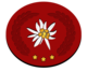 Rank insignia in the Swiss postal service.