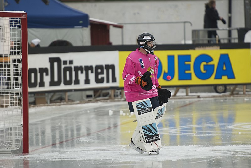 File:Emil Paulin Ström 2012b.jpg