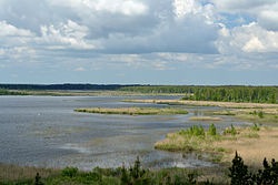 Endla järv.jpg 