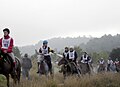 Endurance riding