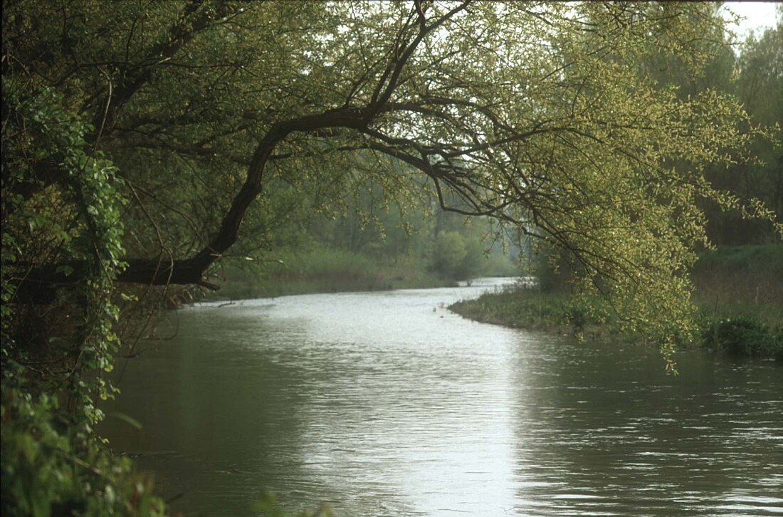 Езіно (річка)