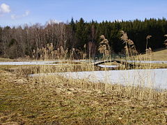 L'étang des Chartreux.