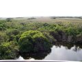 Miniatura para Parque nacional de los Everglades