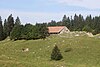 Granja Joux de Bière - img 44825.jpg