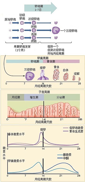 File:Figure 28 02 07 zh.jpg