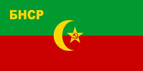 Immaggine:Flag of the Bukharan People's Soviet Republic.svg