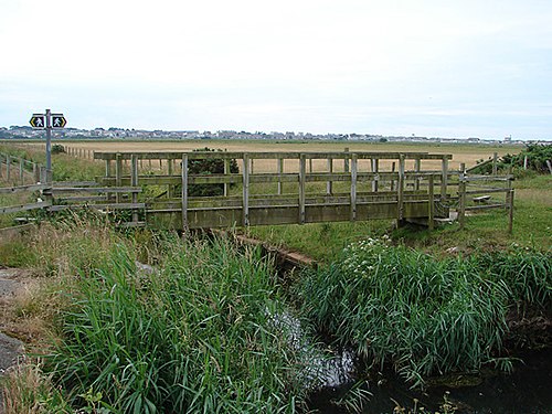 Footbridge at Morfa Gwyllt - geograph.org.uk - 283604.jpg