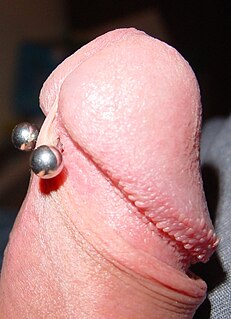 Frenum piercing