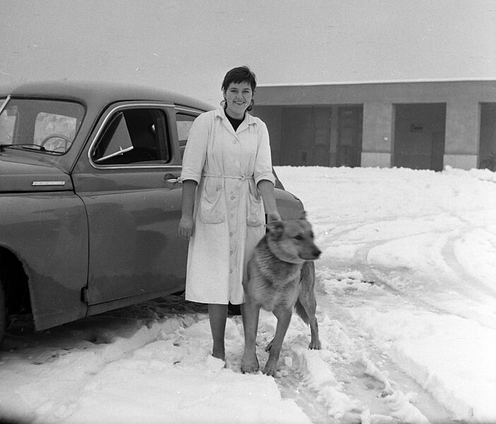 File:GAZ-M20 Pobeda, nő és kutya, 1962 Fortepan 104402.jpg