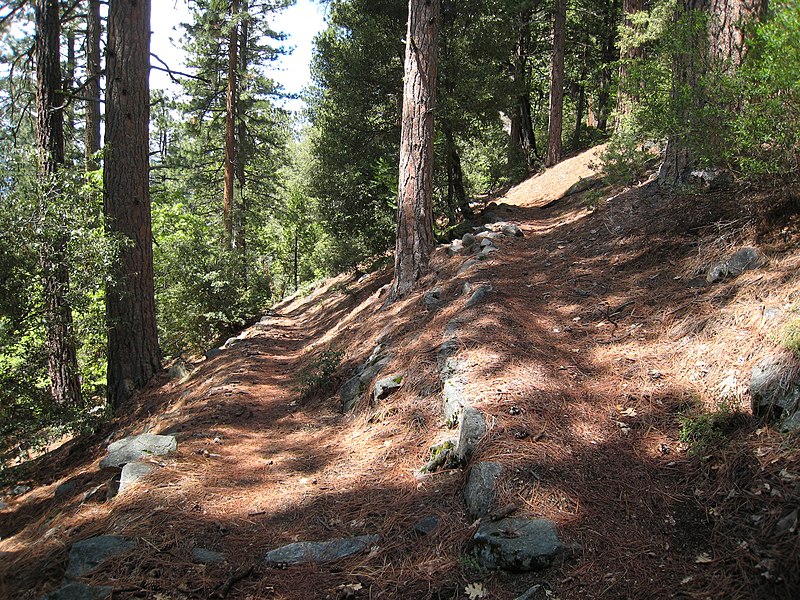 File:Gentle switchback on the beautifully forested trail over the hill between Tiltill Valley and Lake Vernon - panoramio.jpg