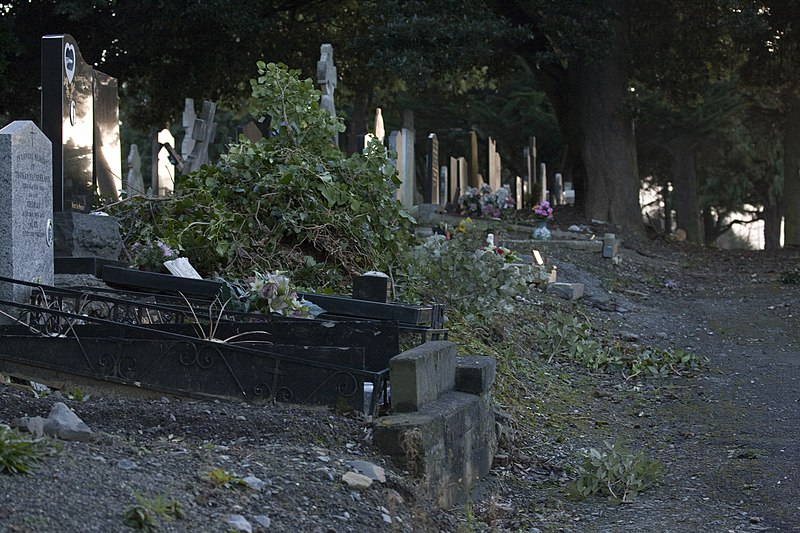 File:Glasnevin Cemetery, officially known as Prospect Cemetery (4163794755).jpg