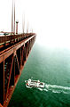 The bridge extending into the fog, on a July day