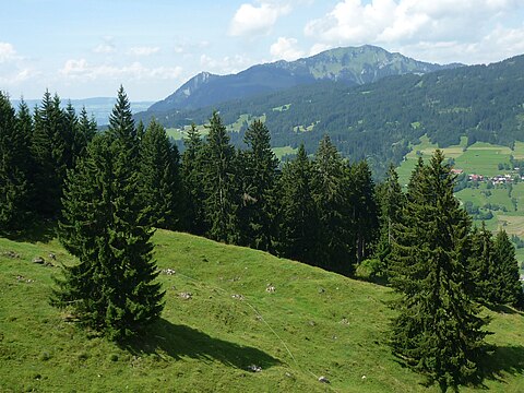 ... view to mountain Grünten