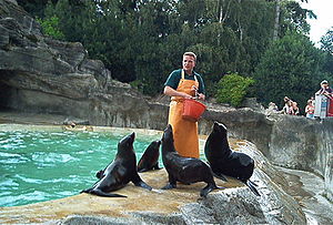 Zoo: Geschichte, Hauptaufgaben, Zoos aus museologischer Sicht