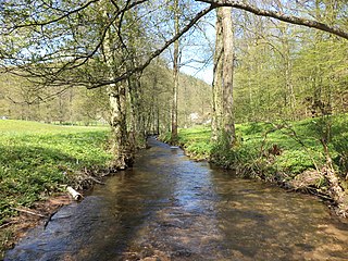 <span class="mw-page-title-main">Haslochbach</span> River in Germany
