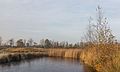 Herfstwandeling door natuurreservaat It Wikelslân.