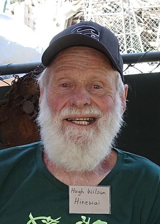 <span class="mw-page-title-main">Hugh Wilson (New Zealand botanist)</span> New Zealand botanist