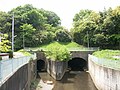 津田山の平瀬川トンネル出口