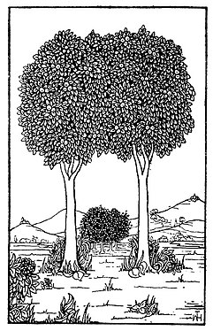 The Seven Trees