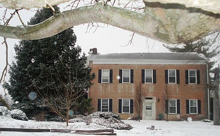 House under tree limb