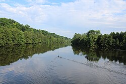 Huron River in Gallup Park, Ann Arbor, Michigan.JPG