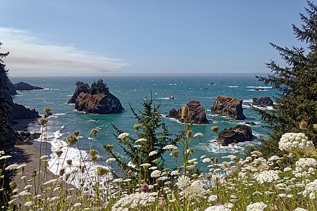 Pacific coast in Oregon, seen from Arch Rock Point near the US Highway 101