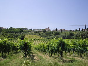 Castelnuovo d'Elsa