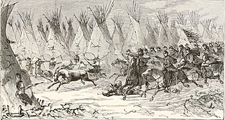 <span class="mw-page-title-main">Native American genocide in the United States</span> Acts of genocide committed against Native Americans in the United States