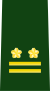 JGSDF Lieutenant Colonel insignia (b).svg