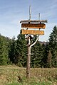 * Nomination Jackowa Pościel - symbolic cemetery in Beskid Sądecki Mountains, Poland --Jakubhal 04:07, 14 April 2024 (UTC) * Promotion Good quality --Llez 05:45, 14 April 2024 (UTC)