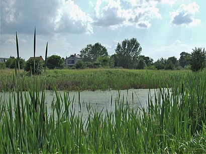 Jak dojechać komunikacją do Jezioro Sielanka - O miejscu docelowym