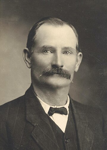 John Lynch (Australian politician)