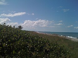 View of the town's beachfront on Jupiter Island