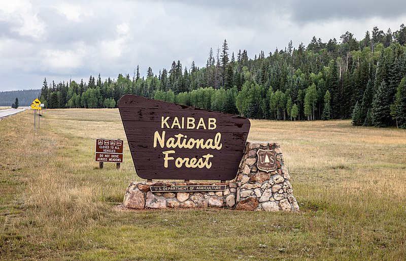 File:Kaibab National Forest.jpg