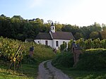 Kaiserstuhl 2012 205.jpg