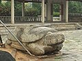 Uralte Schildkröte im Kaiyuan-Tempel