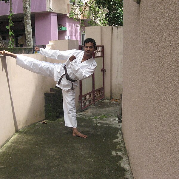 File:Karate kick 1.jpg