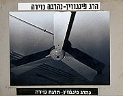 הרג פינגווין - נהרגה נזירה, 1975 תצלום, נייר ולטרסט על קרטון אוסף מוזיאון תל אביב לאמנות