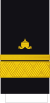 Kingdom of Bulgaria-Navy-OF-7 sleeve.svg