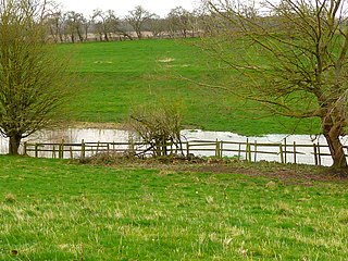 Kirk Deighton SSSI Site of Special Scientific Interest in North Yorkshire, England