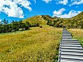 遊歩道途中からの山上方向の光景