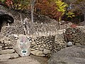 Path on the way to Samseonggung's main grounds. Samseonggung is a Shrine dedicated to the traditional worship of the three mythical creators of Korea: Whanin, Whanung, and Dangun.