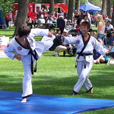 Students from a Korean martial arts school in Calgary do a demonstration