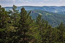 Siberian taiga Kuysumy mountains and Torgashinsky range. View from viewing platform on Kashtakovskaya path (Stolby reserve, Krasnoyarsk city) 4Y1A8757 (28363120875).jpg