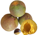 利馬果（英语：Pouteria lucuma） Lucuma