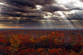 Lackawanna State Forest