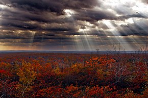 The Lackawanna State Forest, Lucerne County