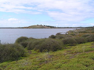 <span class="mw-page-title-main">Lake Connewarre State Wildlife Reserve</span> Nature reserve in Victoria, Australia