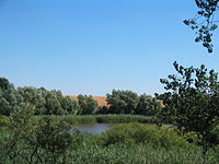 Der Nord-Koppelsee in Grünow