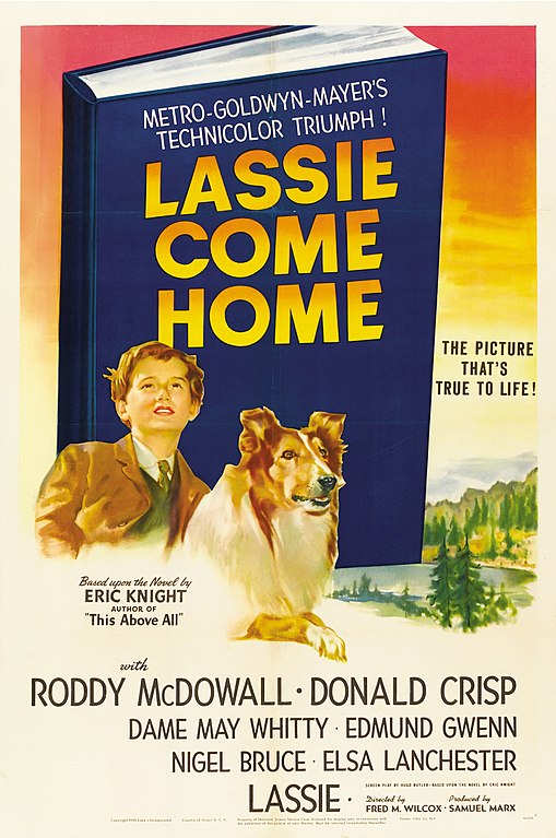 How to watch and stream Lassie Come Home - 1943 on Roku